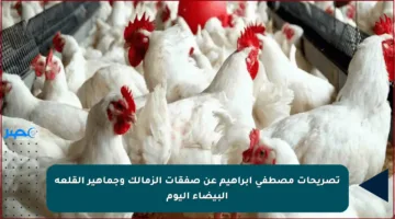 تصريحات مصطفى إبراهيم عن صفقات الزمالك وجماهير القلعة البيضاء اليوم